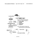 COMPOUNDS FOR REVERSING AND INHIBITING PROTEIN AGGREGATION, AND METHODS     FOR MAKING AND USING THEM diagram and image