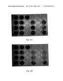 ANTI-VIRAL PHARMACEUTICAL COMPOSITIONS diagram and image