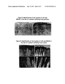 Substancefor Restoring Normal Co-expression and Interaction Between the     LOX and NRAGE Proteins diagram and image