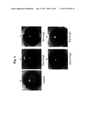 AGENT FOR TREATING EYE DISEASES diagram and image