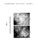 AGENT FOR TREATING EYE DISEASES diagram and image