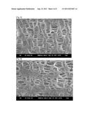 Method of Producing Microporous Polymer Membrane and Microporous Polymer     Membrane Produced by the Method diagram and image