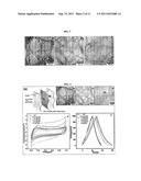 NANOPARTICLE DECORATED NANOSTRUCTURED MATERIAL AS ELECTRODE MATERIAL AND     METHOD FOR OBTAINING THE SAME diagram and image