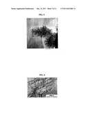 NANOPARTICLE DECORATED NANOSTRUCTURED MATERIAL AS ELECTRODE MATERIAL AND     METHOD FOR OBTAINING THE SAME diagram and image