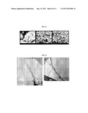 NANOPARTICLE DECORATED NANOSTRUCTURED MATERIAL AS ELECTRODE MATERIAL AND     METHOD FOR OBTAINING THE SAME diagram and image