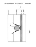 SINGLE-MOLECULE DETECTION SYSTEM AND METHODS diagram and image