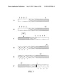 Multiplex Detection Compositions, Methods, and Kits diagram and image