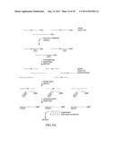 Multiplex Detection Compositions, Methods, and Kits diagram and image