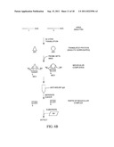 Multiplex Detection Compositions, Methods, and Kits diagram and image