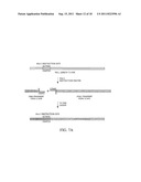 Multiplex Detection Compositions, Methods, and Kits diagram and image