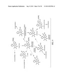 Multiplex Detection Compositions, Methods, and Kits diagram and image