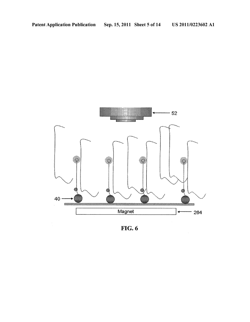 Systems and Methods for Multiplex Analysis of PCR in Real Time - diagram, schematic, and image 06