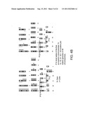 Nucleic acid quantitation from tissue slides diagram and image