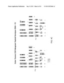 Nucleic acid quantitation from tissue slides diagram and image