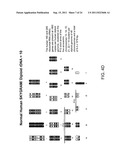 Nucleic acid quantitation from tissue slides diagram and image