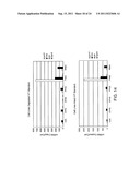 Nucleic acid quantitation from tissue slides diagram and image