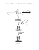 Nucleic acid quantitation from tissue slides diagram and image