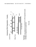 Nucleic acid quantitation from tissue slides diagram and image