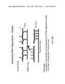 Nucleic acid quantitation from tissue slides diagram and image