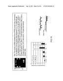 Nucleic acid quantitation from tissue slides diagram and image