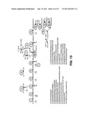METHODS AND ORGANISMS FOR UTILIZING SYNTHESIS GAS OR OTHER GASEOUS CARBON     SOURCES AND METHANOL diagram and image
