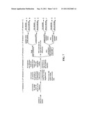 AFFINITY SELECTOR BASED RECOGNITION AND QUANTIFICATION SYSTEM AND METHOD     FOR MULTIPLE ANALYTES IN A SINGLE ANALYSIS diagram and image