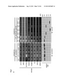 METHOD FOR DIAGNOSING NON-SMALL CELL LUNG CANCER diagram and image