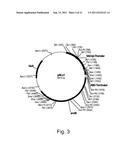 POLYPEPTIDES HAVING LIPASE ACTIVITY AND POLYNUCLEOTIDES ENCODING SAME diagram and image