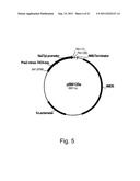 POLYPEPTIDES HAVING LIPASE ACTIVITY AND POLYNUCLEOTIDES ENCODING SAME diagram and image