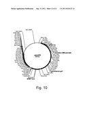 POLYPEPTIDES HAVING LIPASE ACTIVITY AND POLYNUCLEOTIDES ENCODING SAME diagram and image