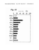 HYALURONIC ACID OLIGOSACCHARIDE FRACTIONS AND DRUGS CONTAINING THE SAME diagram and image