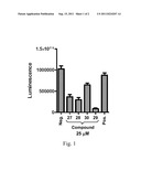 FLAVIVIRUS INHIBITORS AND METHODS FOR THEIR USE diagram and image