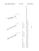 Oligomeric Compounds And Compositions For Use In Modulation Of Small     Non-Coding RNAs diagram and image