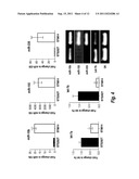 MICRO RNA (MiRNA) AND NEUROFIBROMATOSIS TYPE 1: A ROLE IN DIAGNOSIS AND     THERAPY diagram and image