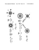 Cancer Cell Targeting Using Nanoparticles diagram and image