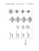 Cancer Cell Targeting Using Nanoparticles diagram and image