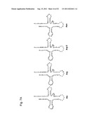 Mutant tRNA for Introducing Unnatural Amino Acid Into Protein diagram and image