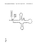 Mutant tRNA for Introducing Unnatural Amino Acid Into Protein diagram and image