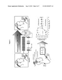 NON-INVASIVE METHODS FOR EVALUATING CORTICAL PLASTICITY IMPAIRMENTS diagram and image