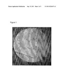 MINIMALLY INVASIVE TREATMENT OF VERTEBRA (MITV) USING A CALCIUM PHOSPHATE     COMBINATION BONE CEMENT diagram and image