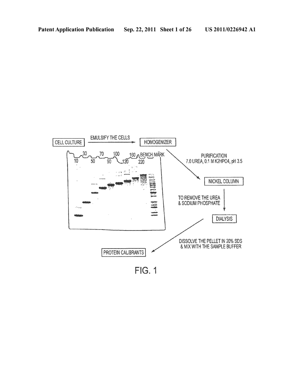 COMPOSITIONS, KITS, AND METHODS FOR CALIBRATION IN MASS SPECTROMETRY - diagram, schematic, and image 02