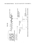 DIGITAL WATERMARK PADDING METHOD, DIGITAL WATERMARK PADDING DEVICE,     DIGITAL WATERMARK DETECTING METHOD, DIGITAL WATERMARK DETECTING DEVICE,     AND PROGRAM diagram and image