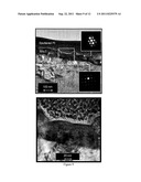 Stable Catalyst Layers for Hydrogen Permeable Composite Membranes diagram and image