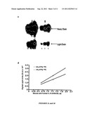 SEMI-SYNTHETIC ANTIBODIES AS RECOGNITION ELEMENTS diagram and image