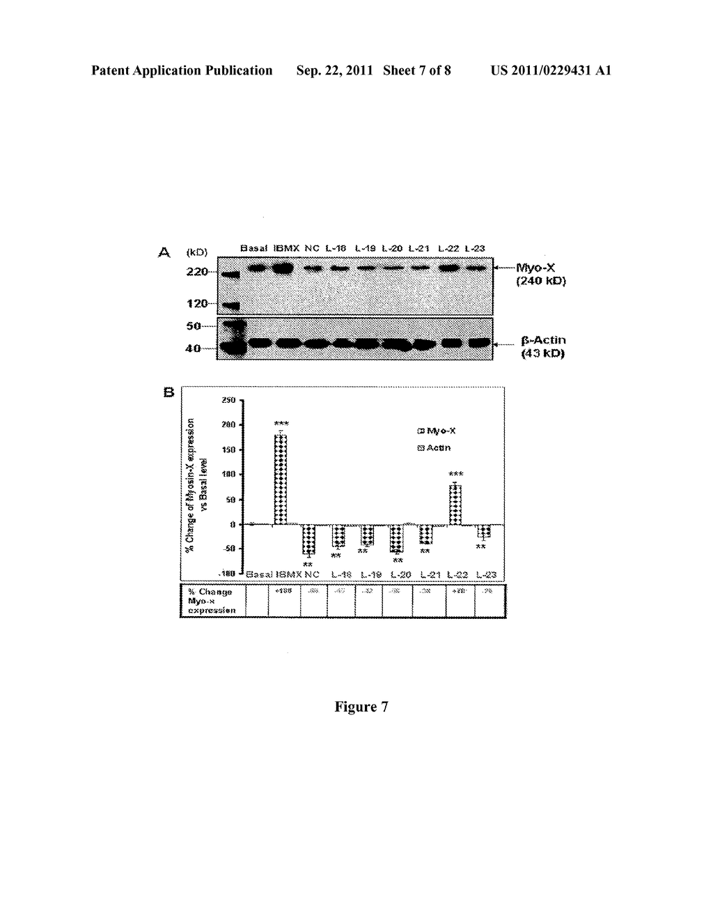 METHODS USEFUL IN STUDYING OR MODULATING SKIN OR HAIR PIGMENTATION, PLANT     EXTRACTS FOR USE IN COMPOSITIONS AND COSMETIC CARE METHOD - diagram, schematic, and image 08