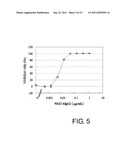 ANTI-NR10 ANTIBODY AND USE THEREOF diagram and image