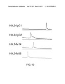 ANTI-NR10 ANTIBODY AND USE THEREOF diagram and image