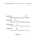 ANTI-NR10 ANTIBODY AND USE THEREOF diagram and image