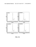 ANTI-NR10 ANTIBODY AND USE THEREOF diagram and image