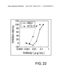 ANTI-NR10 ANTIBODY AND USE THEREOF diagram and image